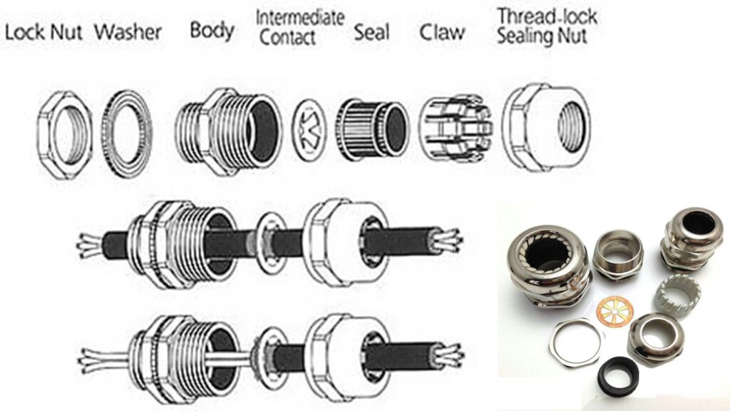 استاندارد سایز گلند